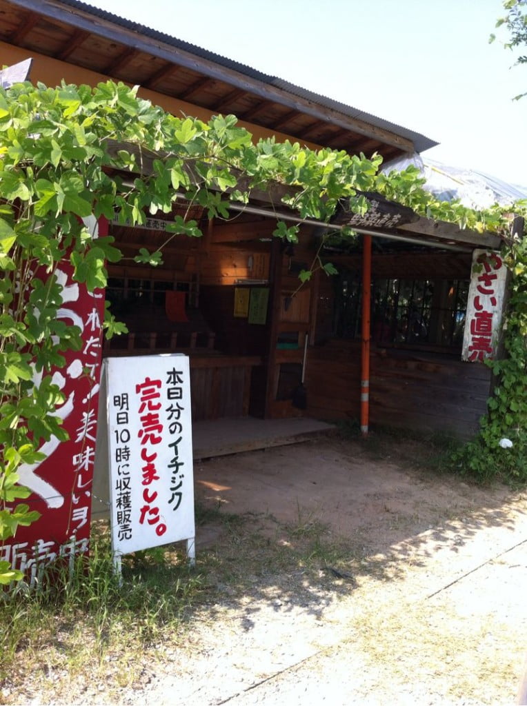 小山観光葡萄園(八幡市)に行ってきた
